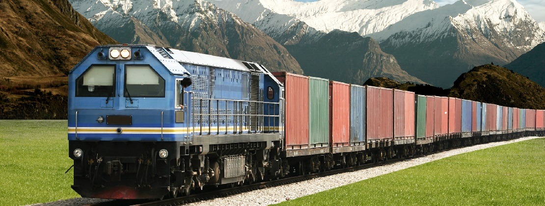 Freight train moving through nature